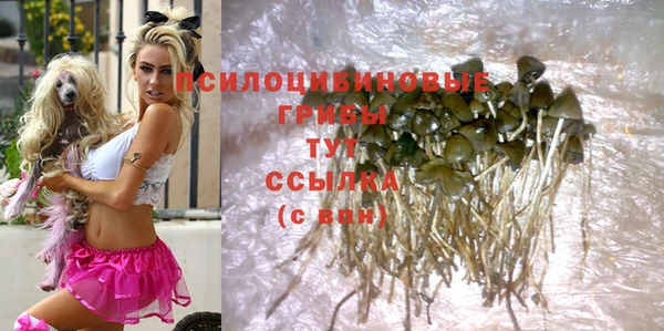 apvp Зерноград