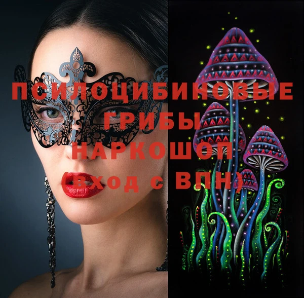 apvp Зерноград