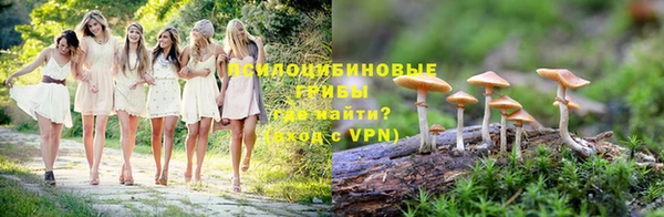 apvp Зерноград