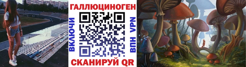 MEGA tor  Вышний Волочёк  Псилоцибиновые грибы прущие грибы 